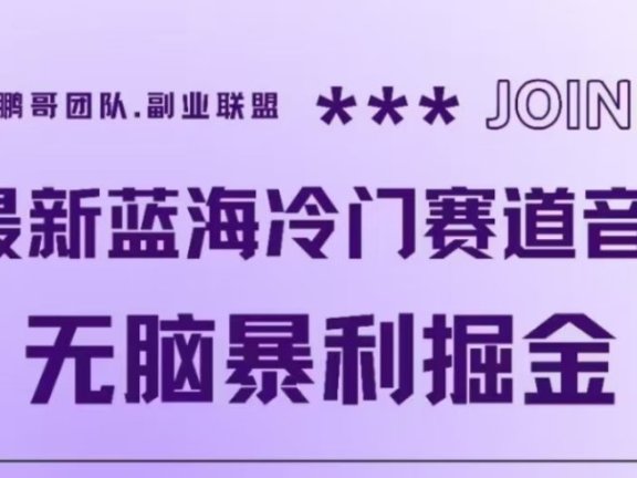 最新蓝海冷门赛道音频,无脑暴利掘金