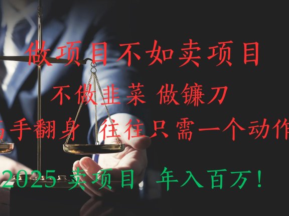 做项目不如卖项目,做互联网顶级掠食者,2025年入百万教科书指南!